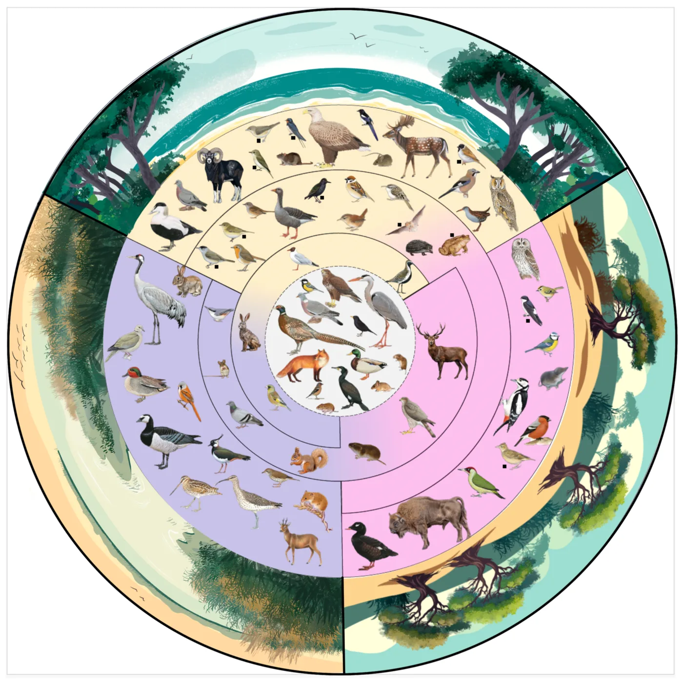 Circular ecological habitat figure with animals arranged by environment