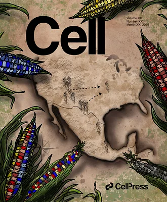 Journal cover design featuring ancient maize illustrations for Cell