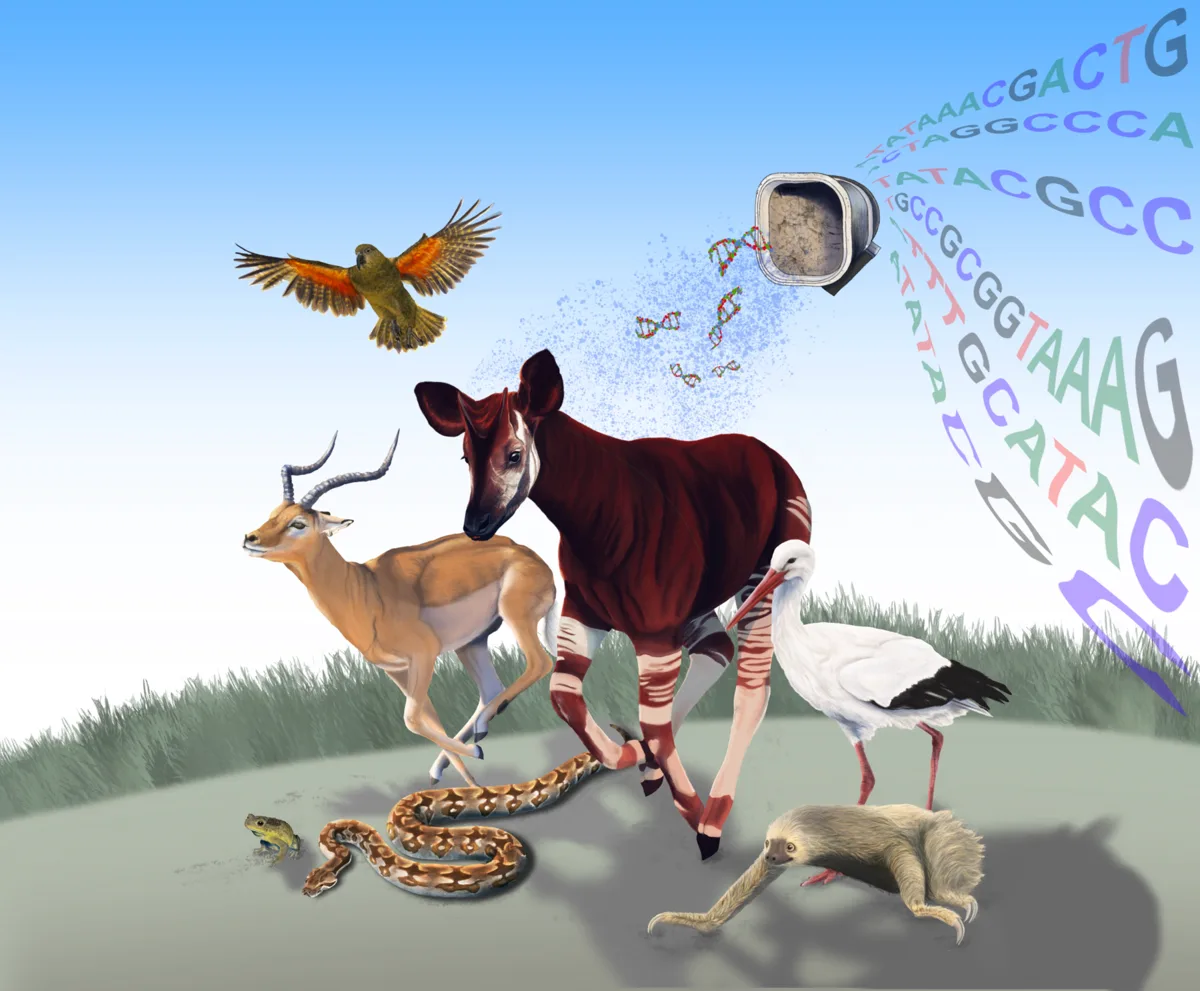 Journal cover-style evolutionary biology artwork featuring multiple animals and DNA sequence motifs