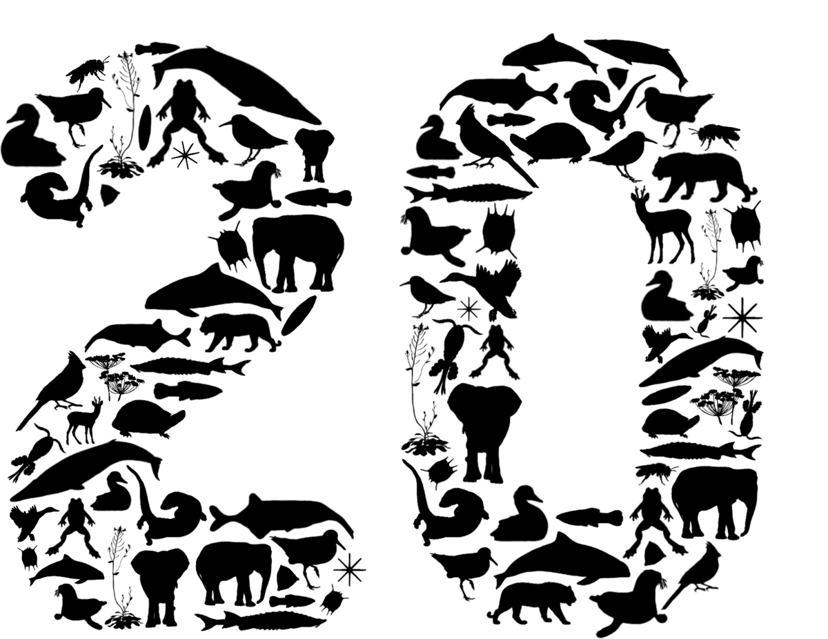SMBE 2026 logo mark formed from animal silhouettes