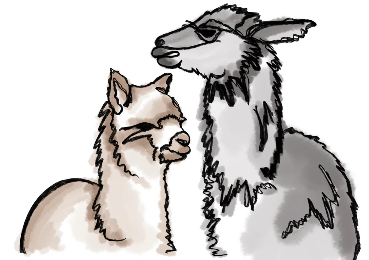Watercolor-style alpaca and llama artwork