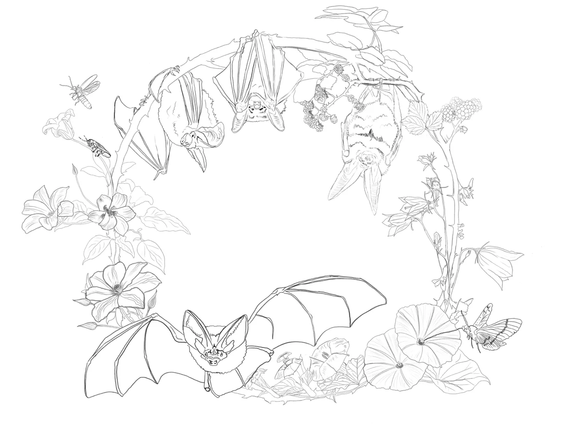 Light line artwork of bats and botanical elements