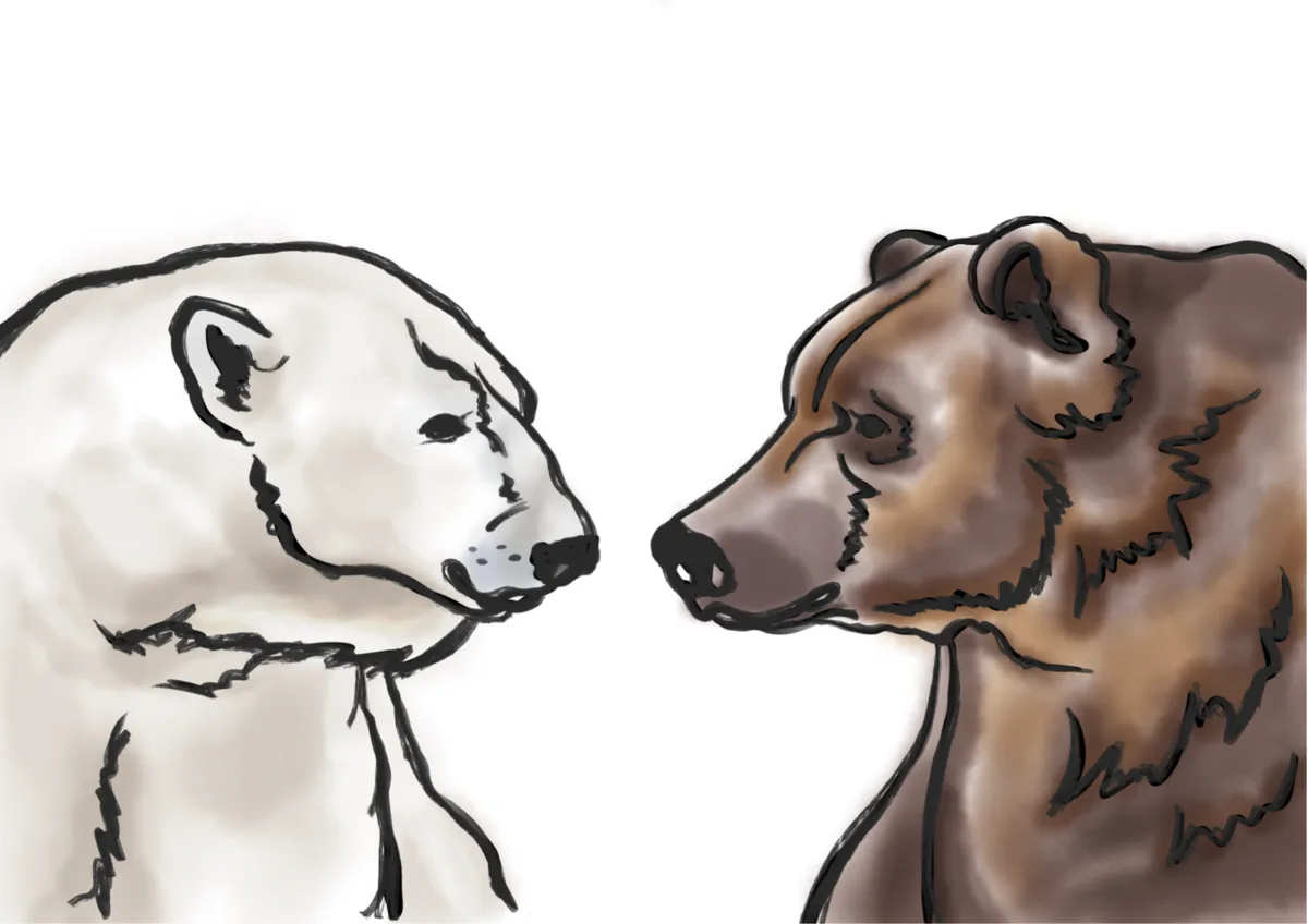 Watercolor-style polar bear and brown bear artwork