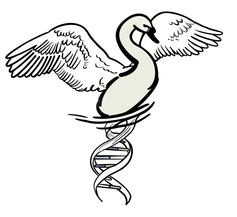 Nature-inspired swan and DNA line artwork
