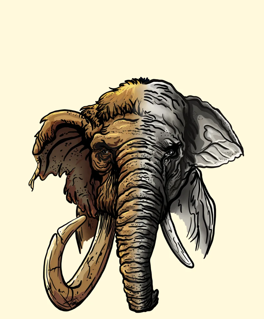 Thesis cover illustration combining mammoth and elephant anatomy