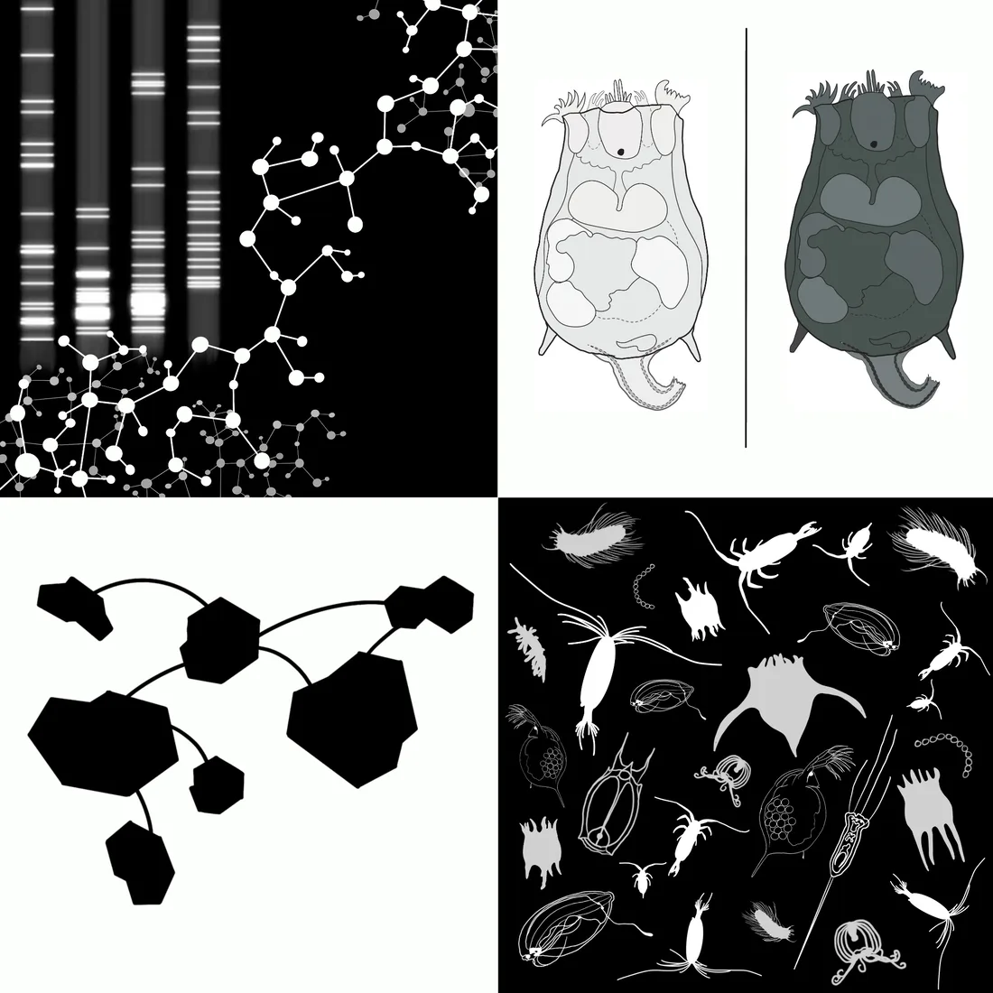Thesis cover artwork combining molecular graphics and illustrated organisms